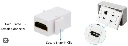 WP14.webp